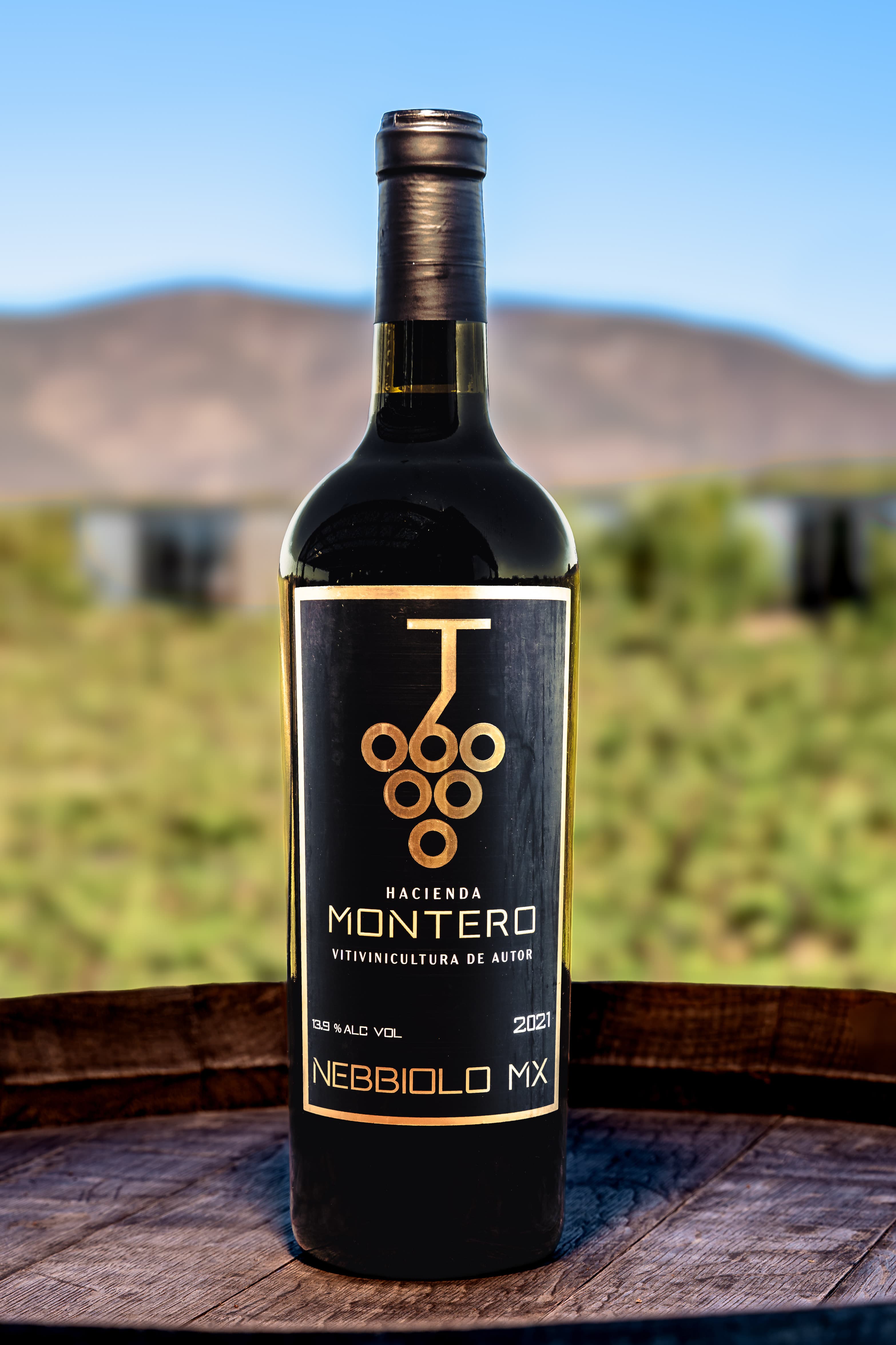 Nebbiolo MX