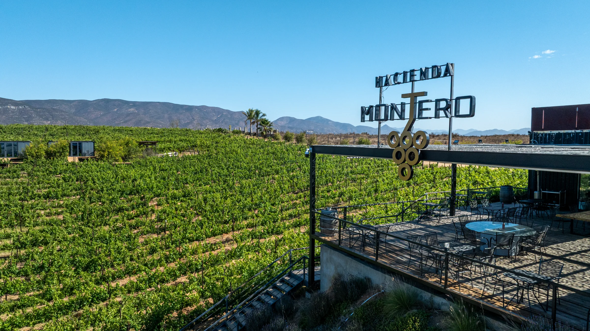 Vista aérea de Hacienda Montero entre los viñedos
